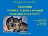 Викторина «Собаки, страна в которой выведены и для чего?»