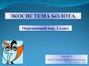 Экосистема "Болото". Окружающий мир, 3 класс