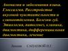 Аномалии и заболевания языка. Глоссалгия. Расстройства вкусовой чувствительности и слюноотделения. Болезни губ. Этиология