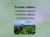 Математика о вреде курения. ( 2) 6 класс