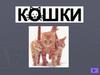 Кошки