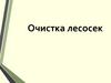 Очистка лесосек