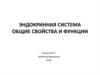 Эндокринная система. Общие свойства и функции. Лекция № 17