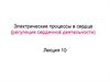 Электрические процессы в сердце (регуляция сердечной деятельности)