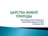 Царства живой природы. Отличительные признаки живого