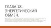 Энергетический обмен