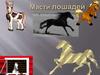 Масти лошадей