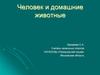 Человек и домашние животные