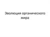 Эволюция органического мира