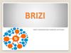 Brizi. Next - generation camera systems…