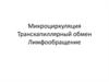 Микроциркуляция. Транскапиллярный обмен. Лимфообращение