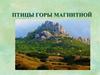 Птицы горы Магнитной