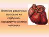 Влияние различных факторов на сердечно-сосудистую систему человека