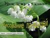 Рисование ландышей. 5 класс