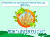Ориентирование учащихся на сельскохозяйственные профессии, приобщение к творческой работе