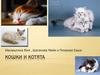 Кошки и котята