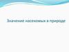 Значение насекомых в природе