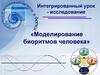 Интегрированный урок - исследование «Моделирование биоритмов человека»