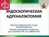 Эндоскопическая адреналэктомия