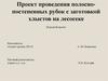 Проект проведения полоснопостепенных рубок с заготовкой хлыстов на лесосеке