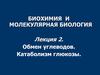Обмен углеводов. Катаболизм глюкозы