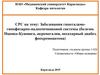 Заболевания гипоталамогипофизарно-надпочечниковой системы