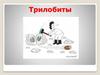 Трилобиты