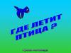 Где летит птица. Уроки логопеда