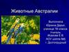 Животные Австралии