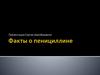 Факты о пенициллине