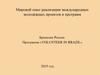 Мировой опыт реализации международных молодёжных проектов и программ Бразилия-Россия. Программа «VOLUNTEER IN BRAZIL»