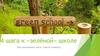 Шаги, которые помогут сделать школу зеленой