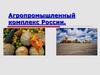Агропромышленный комплекс России
