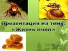 Жизнь пчел
