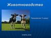 Животноводство