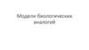 Модели биологических аналогий