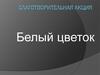 Благотворительная акция. Белый цветок