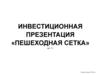 Пешеходная сетка. Инвестиционный проект