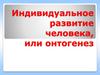 Индивидуальное развитие организма человека, или онтогенез