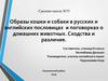 Образы кошки и собаки в русских и английских пословицах и поговорках. Сходства и различия