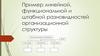 Пример линейной, функциональной и штабной разновидностей организационной структуры