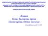 Биохимия крови (белки крови. Обмен железа)