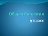 Вид, его критерии и структура. 9 класс