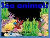 Sea animals