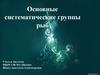Основные систематические группы рыб