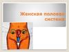 Женская половая система