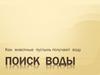 Поиск воды. Как животные пустынь получают воду