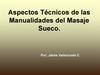 Aspectos Técnicos de las Manualidades del Masaje Sueco