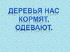 Деревья которые нас кормят и одевают