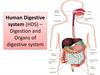 Human Digestive system (HDS) – Digestion and Organs of digestive system